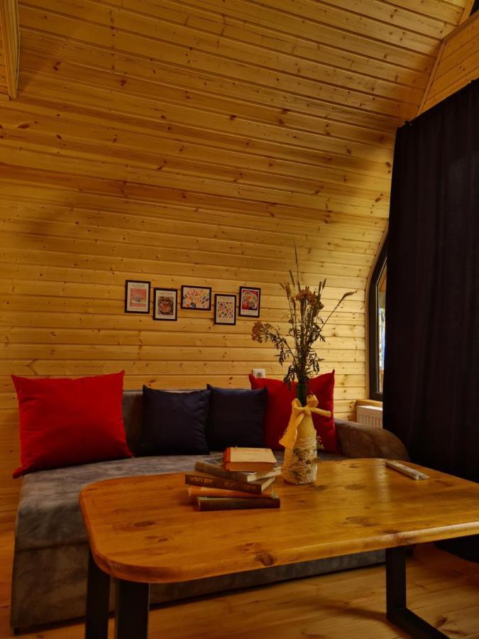 Trip Zone Kazbegi Leilighet Eksteriør bilde